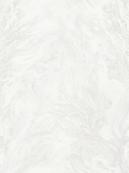 R217101