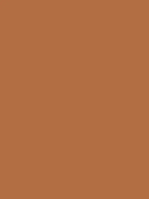 AM3 003-2
