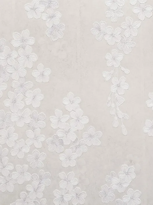 5080-2