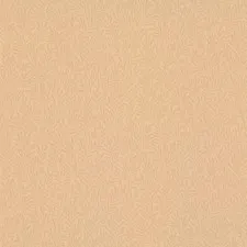 Обои Rasch Bambino XIX 252972