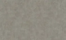 TI 1007