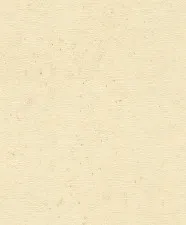 Обои Rasch Concrete 520842