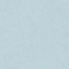 LS7 006