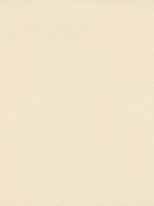UI 1004
