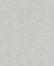 Обои Rasch Rock´n Rolle 541373