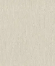 Обои Rasch Rock´n Rolle 541441