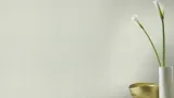 допкартинка