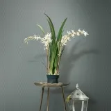 ICE5 008_1