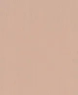 Обои Rasch Indian Style 746075