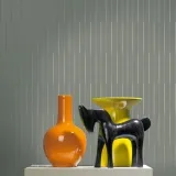 ja5 008_1