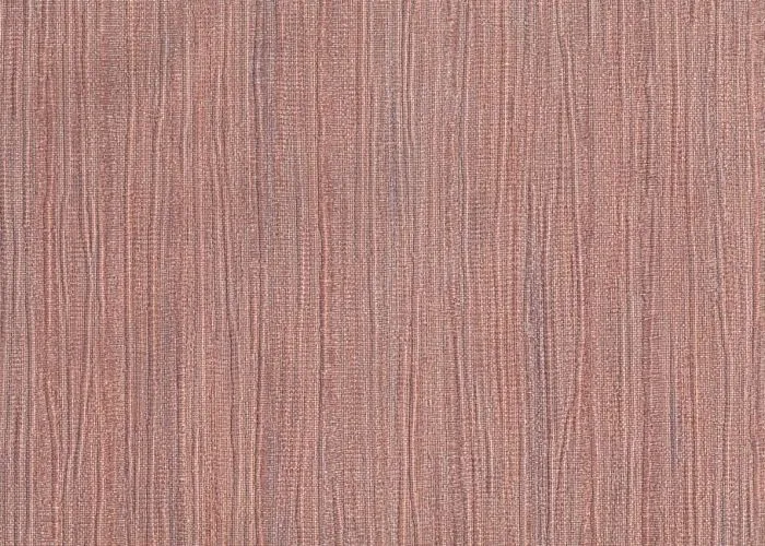 50021_3