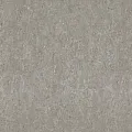 Обои Rasch Metal Spirit 977424
