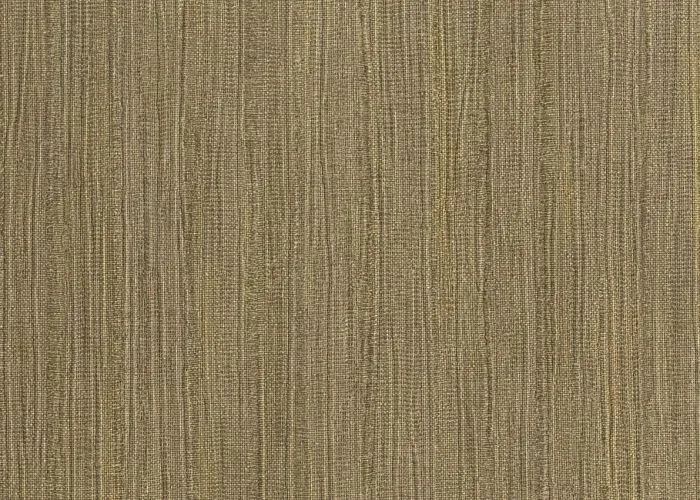 50005_3