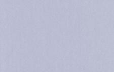 Обои Loymina Rosa Dragomirski R5 006