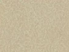 Обои Zambaiti parati Viaggio Italiano R 23041