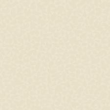 Обои Andrea Rossi Arlequin 54306-1