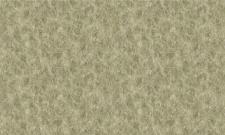 Обои Bruno Zoff Gold 60120-3