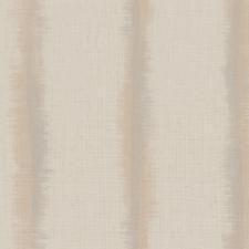 Обои Zambaiti Parati Philipp Plein Z80049