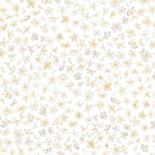 Обои Bernardo Bartalucci Milashka 84240-1