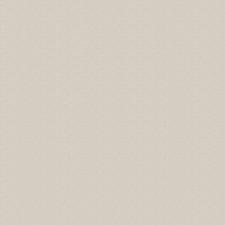 Обои Zambaiti Parati Philipp Plein Z80059