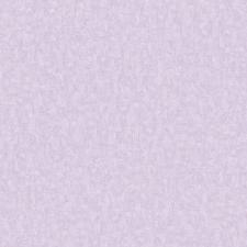 Обои Bernardo Bartalucci Carlotta 84212-11