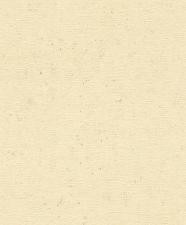 Обои Rasch Concrete 520842