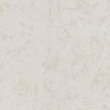 Обои Zambaiti Parati Philipp Plein Z80020