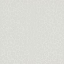 Обои Zambaiti Parati Philipp Plein Z80041