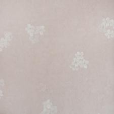 Обои Bernardo Bartalucci Sarrieri 5081-2