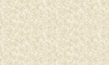 Обои Bruno Zoff Gold 60125-2