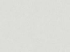 Обои Bernardo Bartalucci Palazzo 5046-4