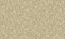 Обои Bruno Zoff Gold 60122-7