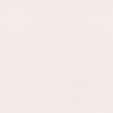 Palitra  Dandelion Chiki SP71992-24