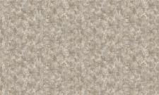 Обои Bruno Zoff Gold 60125-4