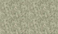 Обои Bruno Zoff Gold 60122-3