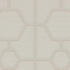 Обои Zambaiti Parati Philipp Plein Z80028