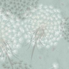 Обои Fox Соната 11667