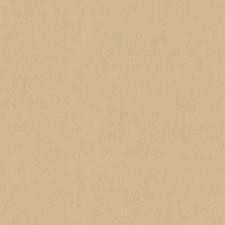 Обои Cassanie Simply SP105