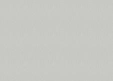 Обои Grandeco Jack 'n Rose 2024 JR 1211